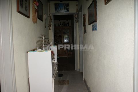 Farm i Covilha, Castelo Branco, Covilha - € 100.000 | Ref: PP4125 - foto 12