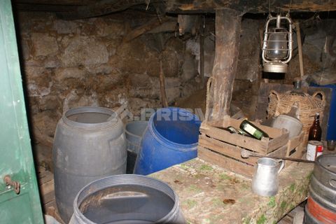 Farm i Covilha, Castelo Branco, Covilha - € 100.000 | Ref: PP4125 - foto 20