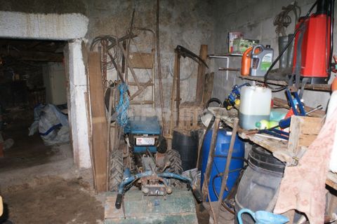 Farm i Covilha, Castelo Branco, Covilha - € 100.000 | Ref: PP4125 - foto 22