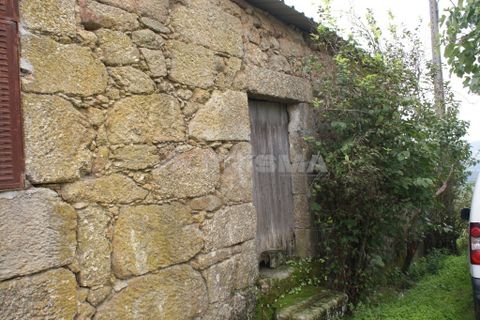 Farm i Covilha, Castelo Branco, Covilha - € 100.000 | Ref: PP4125 - foto 24