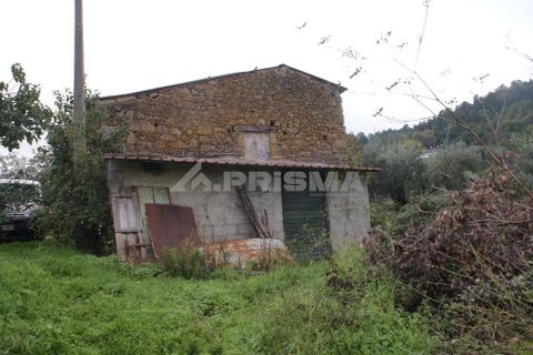 Farm i Covilha, Castelo Branco, Covilha - € 100.000 | Ref: PP4125 - foto 25