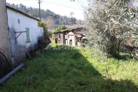 Farm i Covilha, Castelo Branco, Covilha - € 100.000 | Ref: PP4125 - foto 26