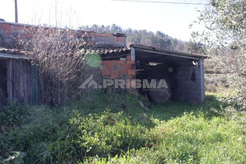 Farm i Covilha, Castelo Branco, Covilha - € 100.000 | Ref: PP4125 - foto 27