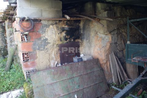 Farm i Covilha, Castelo Branco, Covilha - € 100.000 | Ref: PP4125 - foto 28