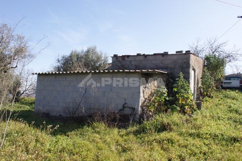 Farm i Covilha, Castelo Branco, Covilha - € 100.000 | Ref: PP4125 - foto 29
