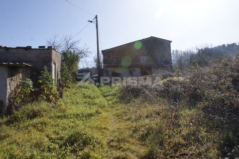 Farm i Covilha, Castelo Branco, Covilha - € 100.000 | Ref: PP4125 - foto 30