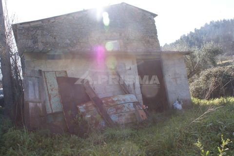 Farm i Covilha, Castelo Branco, Covilha - € 100.000 | Ref: PP4125 - foto 31
