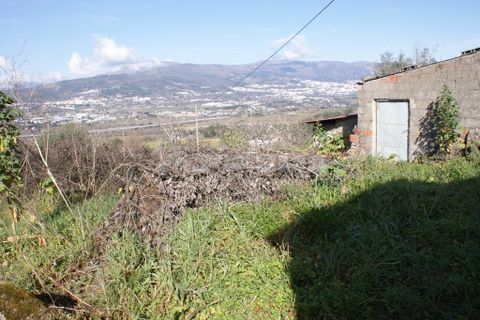 Farm i Covilha, Castelo Branco, Covilha - € 100.000 | Ref: PP4125 - foto 32