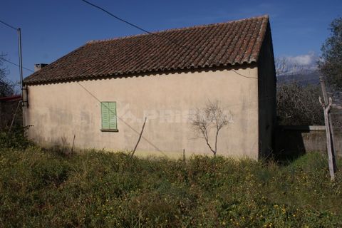 Farm i Covilha, Castelo Branco, Covilha - € 100.000 | Ref: PP4125 - foto 33