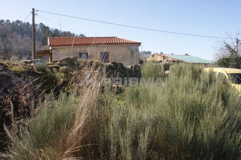 Farm i Covilha, Castelo Branco, Covilha - € 100.000 | Ref: PP4125 - foto 34
