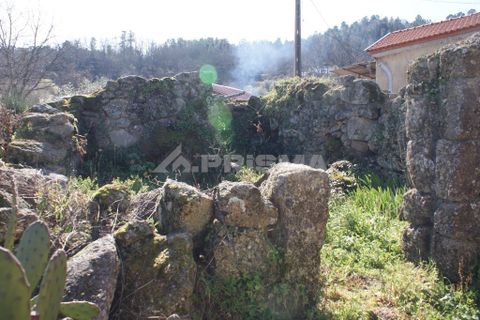 Farm i Covilha, Castelo Branco, Covilha - € 100.000 | Ref: PP4125 - foto 36