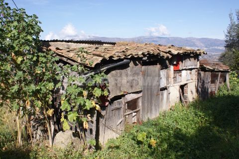 Farm i Covilha, Castelo Branco, Covilha - € 100.000 | Ref: PP4125 - foto 37