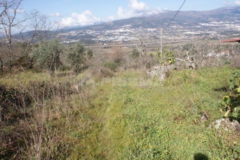Farm i Covilha, Castelo Branco, Covilha - € 100.000 | Ref: PP4125 - foto 38