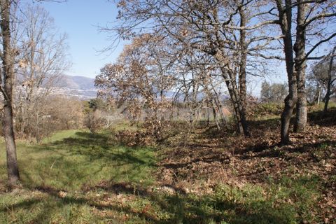 Farm i Covilha, Castelo Branco, Covilha - € 100.000 | Ref: PP4125 - foto 43