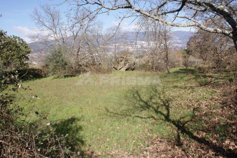 Farm i Covilha, Castelo Branco, Covilha - € 100.000 | Ref: PP4125 - foto 45