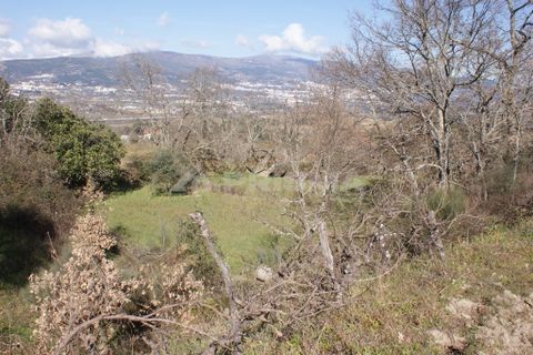 Farm i Covilha, Castelo Branco, Covilha - € 100.000 | Ref: PP4125 - foto 49
