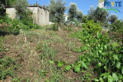 Lejlighed i Serta, Castelo Branco, Serta - € 89.000 | Ref: AA269 - foto 21