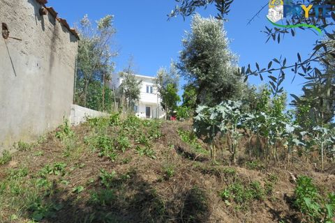 Lejlighed i Serta, Castelo Branco, Serta - € 89.000 | Ref: AA269 - foto 22