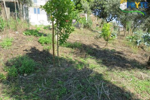 Lejlighed i Serta, Castelo Branco, Serta - € 89.000 | Ref: AA269 - foto 23