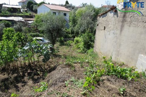 Lejlighed i Serta, Castelo Branco, Serta - € 89.000 | Ref: AA269 - foto 24