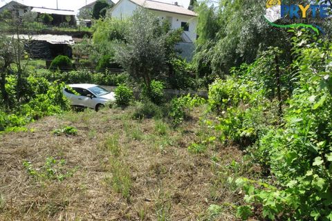 Lejlighed i Serta, Castelo Branco, Serta - € 89.000 | Ref: AA269 - foto 26
