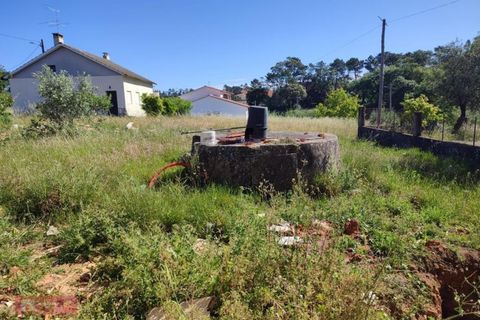 Villa a Batalha, Leiria, Batalha - € 200.000 | Ref: TPH226-09 - foto 14