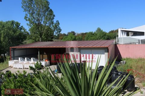 Villa a Abrantes, Santarem, Abrantes - € 280.000 | Ref: TPH227-10 - foto 3