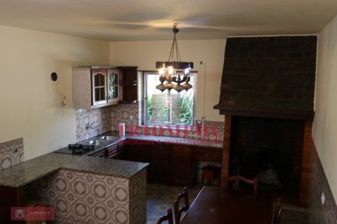 Villa a Abrantes, Santarem, Abrantes - € 280.000 | Ref: TPH227-10 - foto 5