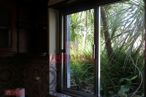 Villa a Abrantes, Santarem, Abrantes - € 280.000 | Ref: TPH227-10 - foto 8