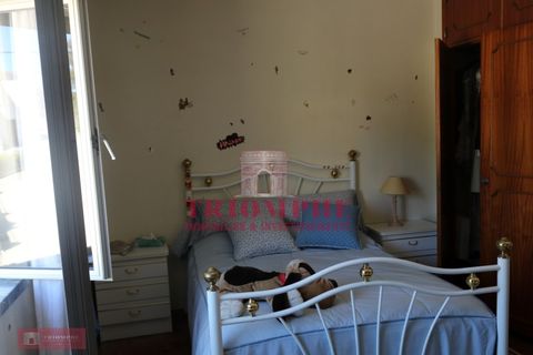 Villa a Abrantes, Santarem, Abrantes - € 280.000 | Ref: TPH227-10 - foto 28