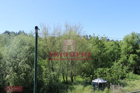 Villa a Abrantes, Santarem, Abrantes - € 280.000 | Ref: TPH227-10 - foto 33