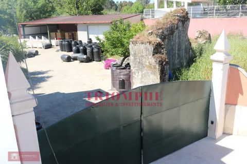 Villa a Abrantes, Santarem, Abrantes - € 280.000 | Ref: TPH227-10 - foto 35