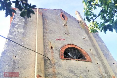 Villa i Leiria, Leiria, Leiria - € 230.000 | Ref: TPH229-03 - foto 6