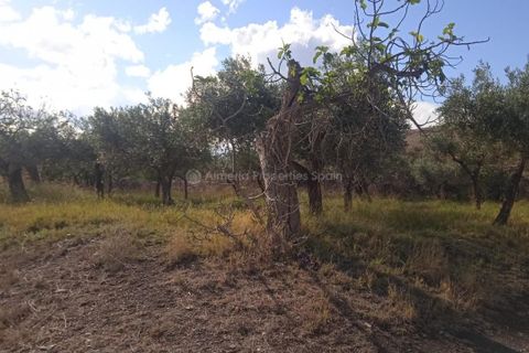 Farm hus i Tabernas, Almeria, Tabernas - € 146.000 | Ref: APS 1907 - foto 16
