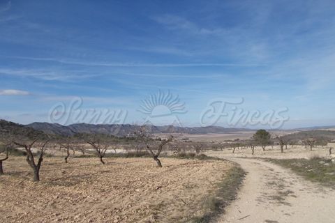 Helårsgrund i Yecla, Murcia, Yecla - € 55.000 | Ref: SF0035 - foto 5