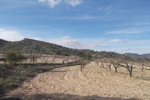 Helårsgrund i Yecla, Murcia, Yecla - € 55.000 | Ref: SF0035 - foto 2