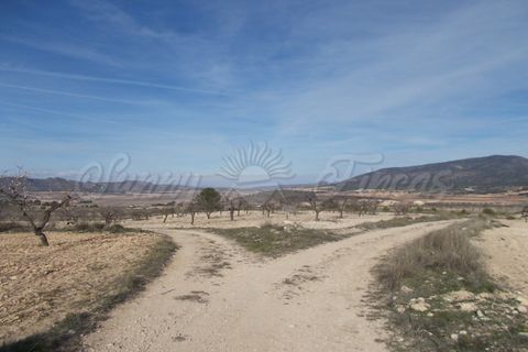 Helårsgrund i Yecla, Murcia, Yecla - € 55.000 | Ref: SF0035 - foto 7