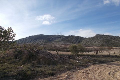 Helårsgrund i Yecla, Murcia, Yecla - € 55.000 | Ref: SF0035 - foto 3
