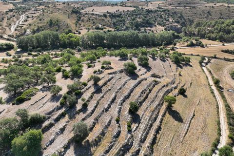 Landejendom i Ragusa, Ragusa, Ragusa - € 80.000 | Ref: L 1838 - foto 5