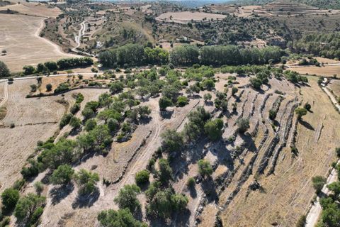 Landejendom i Ragusa, Ragusa, Ragusa - € 80.000 | Ref: L 1838 - foto 7