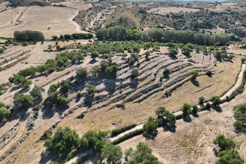 Landejendom i Ragusa, Ragusa, Ragusa - € 80.000 | Ref: L 1838 - foto 8