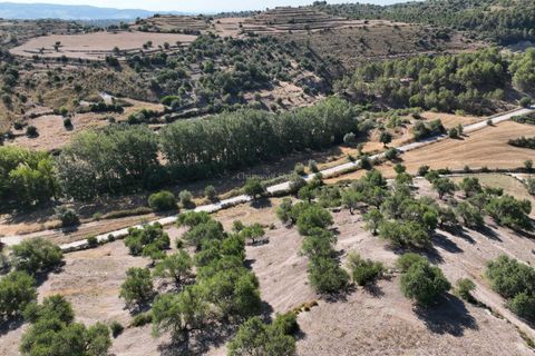 Landejendom i Ragusa, Ragusa, Ragusa - € 80.000 | Ref: L 1838 - foto 10