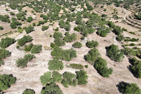 Landejendom i Ragusa, Ragusa, Ragusa - € 80.000 | Ref: L 1838 - foto 11