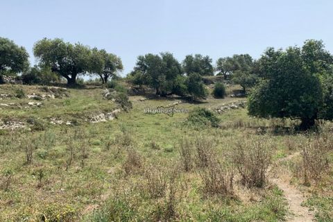 Landejendom i Ragusa, Ragusa, Ragusa - € 80.000 | Ref: L 1838 - foto 15