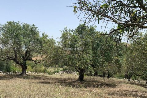 Landejendom i Ragusa, Ragusa, Ragusa - € 80.000 | Ref: L 1838 - foto 18