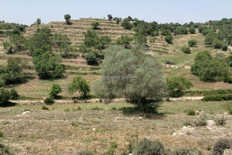 Landejendom i Ragusa, Ragusa, Ragusa - € 80.000 | Ref: L 1838 - foto 23