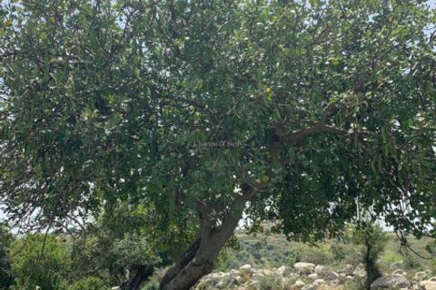 Landejendom i Ragusa, Ragusa, Ragusa - € 80.000 | Ref: L 1838 - foto 26