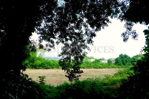 Villa i Cergnago, Pavia, Cergnago - € 350.000 | Ref: GB_432 - foto 50