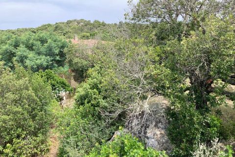 Villa i Arzachena, Sassari, Arzachena - € 650.000 | Ref: 516 - foto 24