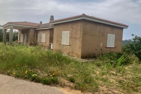 Villa i Arzachena, Sassari, Arzachena - € 650.000 | Ref: 516 - foto 6